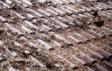 Blaengarw roof cleaning companies