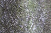 Blaengarw fibreglass roof work